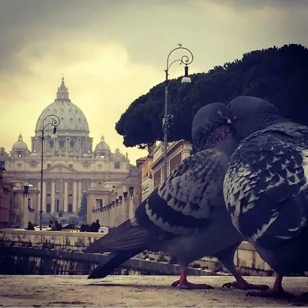 Domus Angeli *